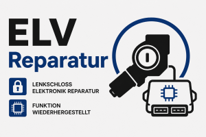 ELV Reparatur